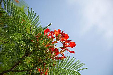 育碧新作《超越善恶2》疑似放弃PS4和XboxOne